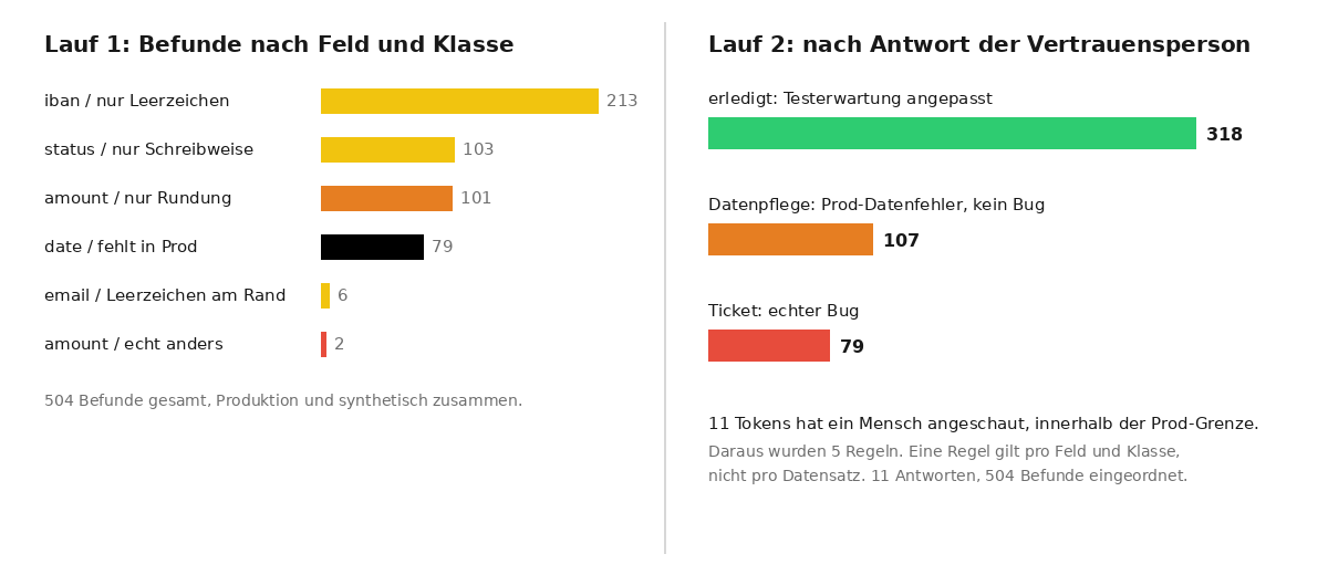 Two bar charts: left run 1 with findings per field and class, right run 2 with 318 resolved, 107 data cleanup, 79 ticket
